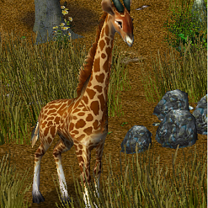 New Critter in Clash in the Wild v.2.6 ... Just Wait