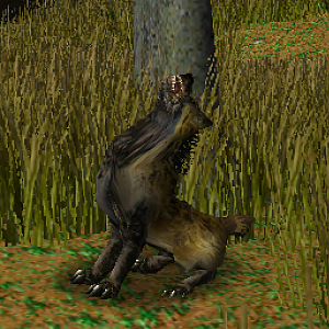 Hyena : one of the animal in savannah.... 

Coming soon...