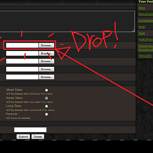 Drag n Drop pastebin