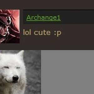 Yes, we wolves are cute.