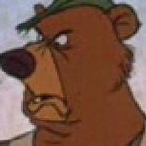 bear