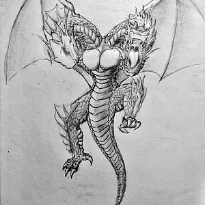 the Jakiro - Fanart