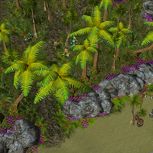 Tropical Haven