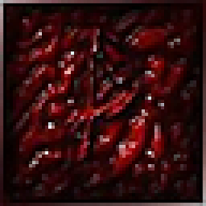 paskovich64x64