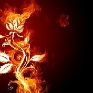 images (5)