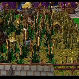 A place for Farmers.