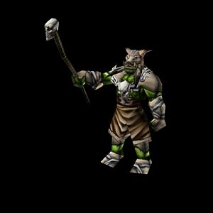 Shaman Hero
