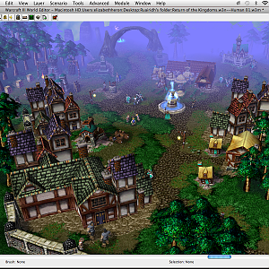 This is part of the first playable mission of the the Human campaign in the Tales of the Alliance.  The town here is Darkshire where Istan (the protag
