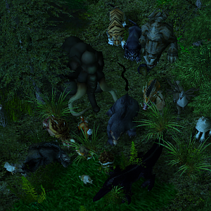 Ground Animals