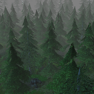 The Forest