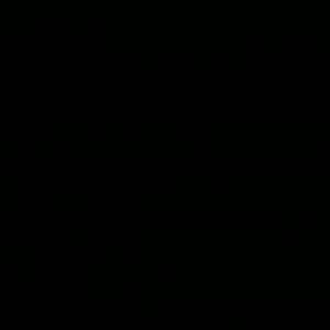 Black Picture