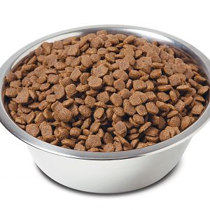 SuperPremiumNaturalDogFoodinBowl