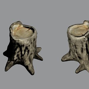 stumps