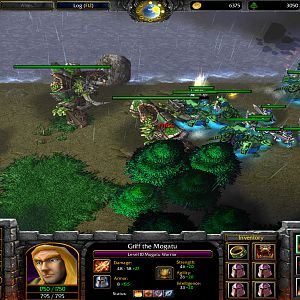 FOTN Gameplay