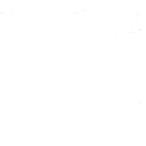 Untitled 1