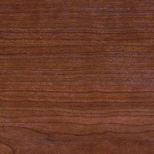 dark wood 4 20120518 1986899356
