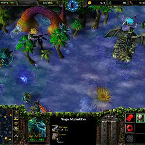 Naga