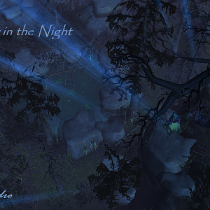 The Hunter in the Night