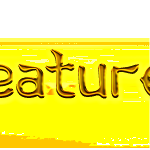 Features Title