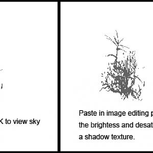 shadow