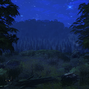 Stary Sky