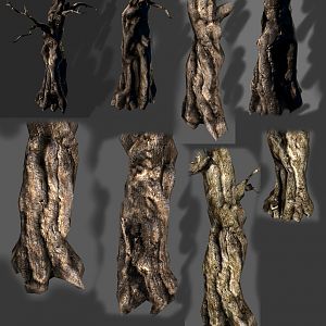 Tree Pres 2