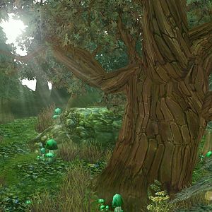 One part of the Forest