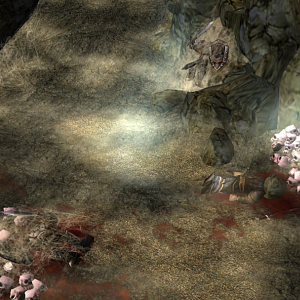Some victims have been killed in the canyon.