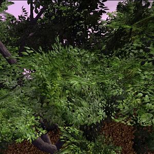 CommonGreenTree 02