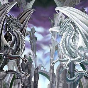 dragons wings abs