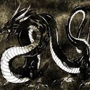 images (1)