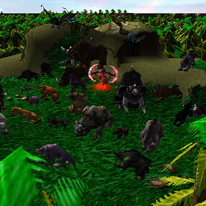 Animals