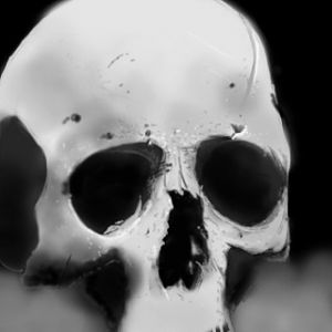 Random unfinished skull