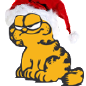 Garfield1337 - HatOnCat