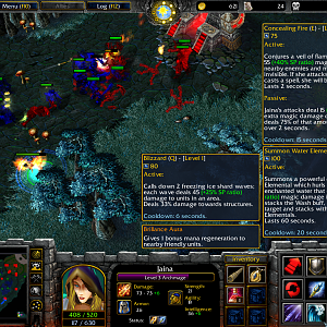 3Jaina