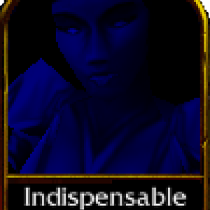 IndispensableAccesories