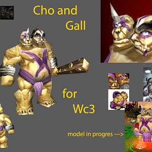 Cho gall ogre hero