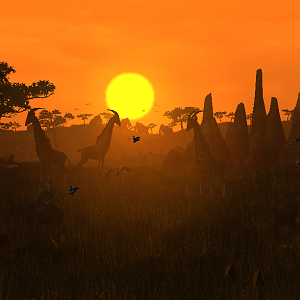Savannah Sunset