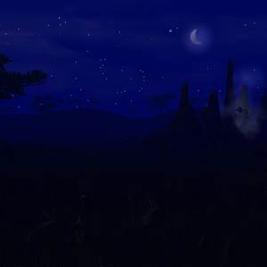 Savannah Night
