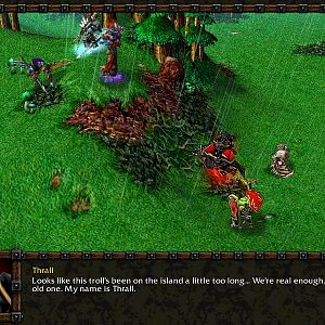 The Orcish Horde meets the Darkspear Tribe. Notice how there is a new hero among them, Sen'jin's new model, and a new unit called the Warlock.