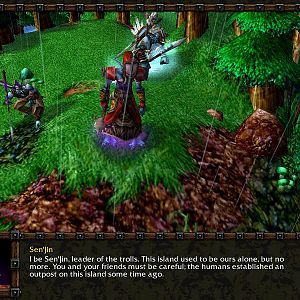 Sen'jin's new model, a new troll hero for player two behind him (Vol'jin, the Shadow Hunter), and him talking to the Orcish Horde.