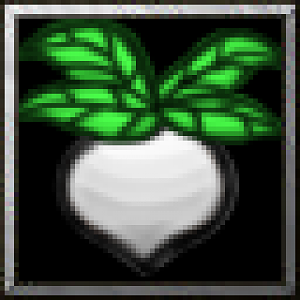 BTNTurnip After