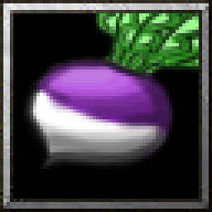 TurnipPurple