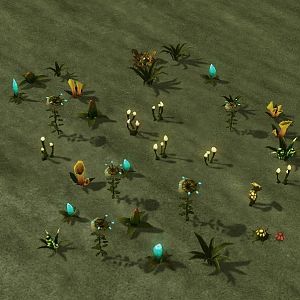 Terrain 035