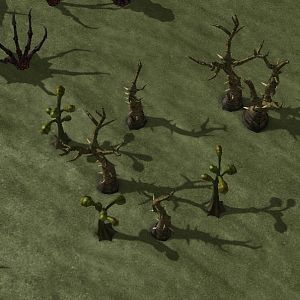 Terrain 042