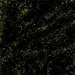 grass