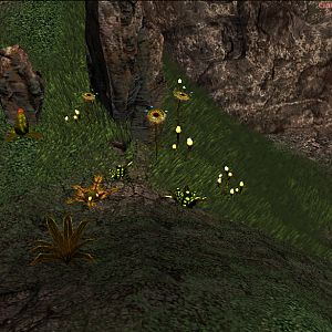 SC2 Conversion VolumetricGrass 07