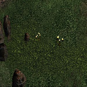 SC2 Conversion VolumetricGrass 08