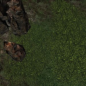 SC2 Conversion VolumetricGrass 09