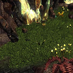 SC2 Conversion VolumetricGrass 17